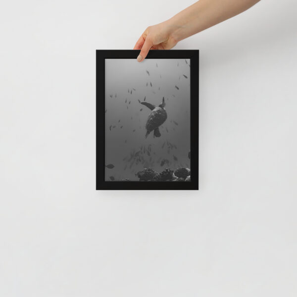 Honu - Poster encadré – Image 3